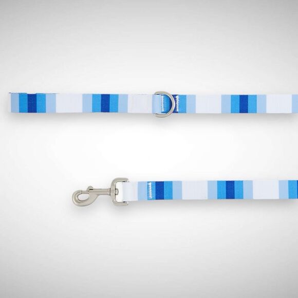 Top Paw Multi Blue Colorblock Striped Nylon Dog Leash 4 FT D-Ring‎ Handle - Picture 1 of 4